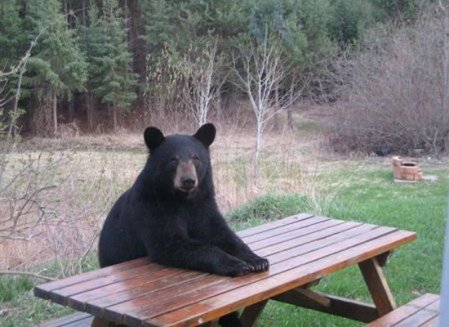 slide_9057_120341_large