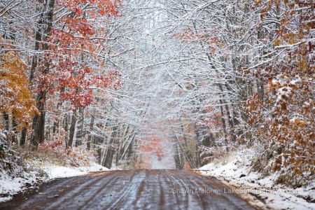 525942_492723074084867_1511919977_n